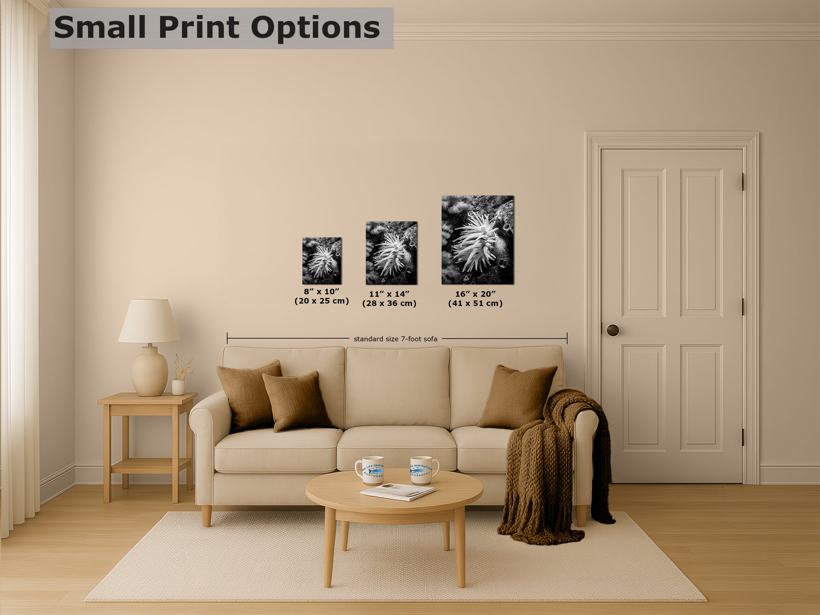 Sea Anemone Picture Ocean Life Underwater Scenery Nature Photo Black and White Art for Marine Biology, Ocean Lovers, and Relaxation Decor