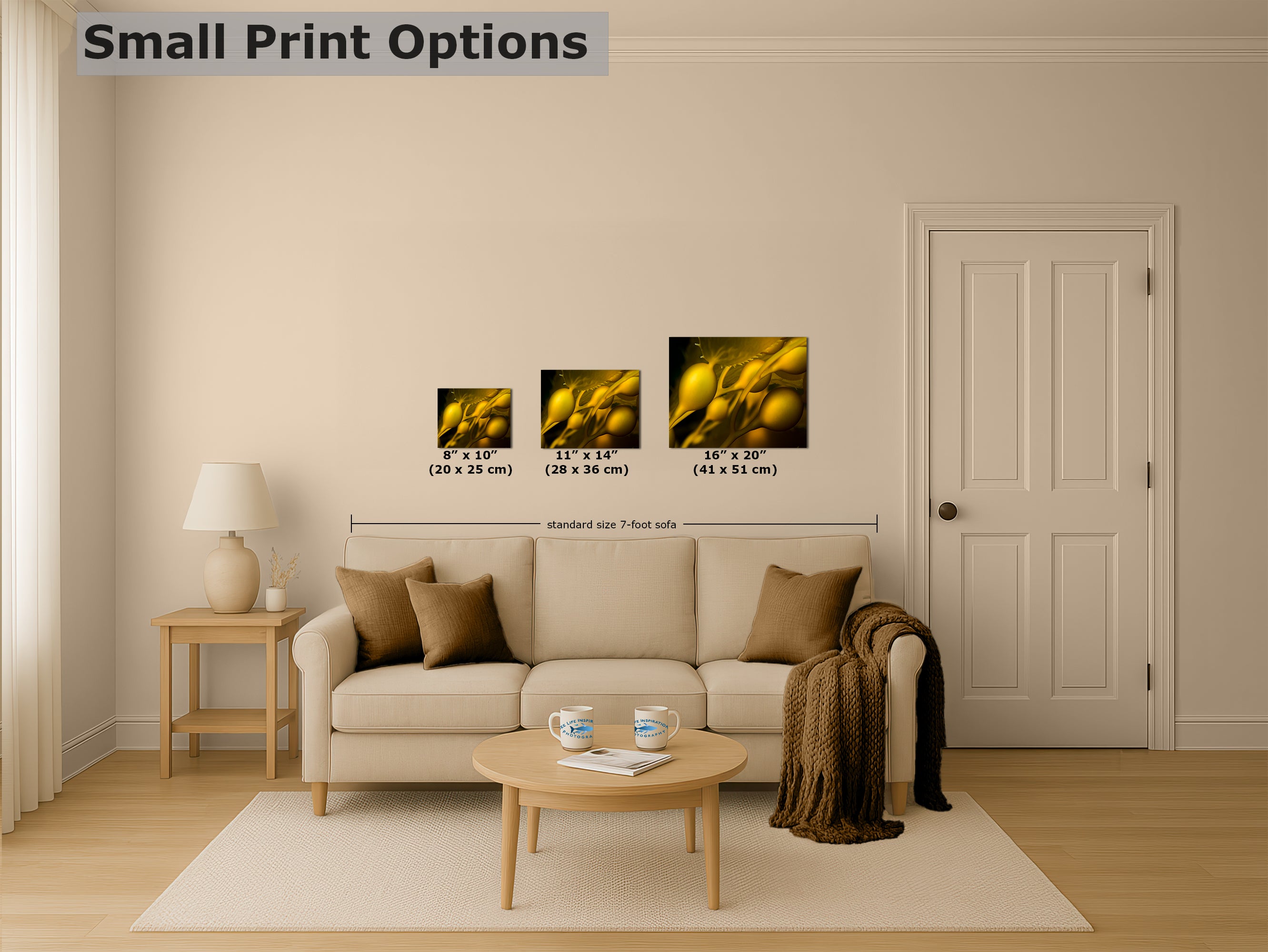 Kelp Forest Seaweed Pictures Underwater Scenery, Ocean Life Marine Biology Nature Photo Relaxation Artwork Decor for Office Dorm Room Decor