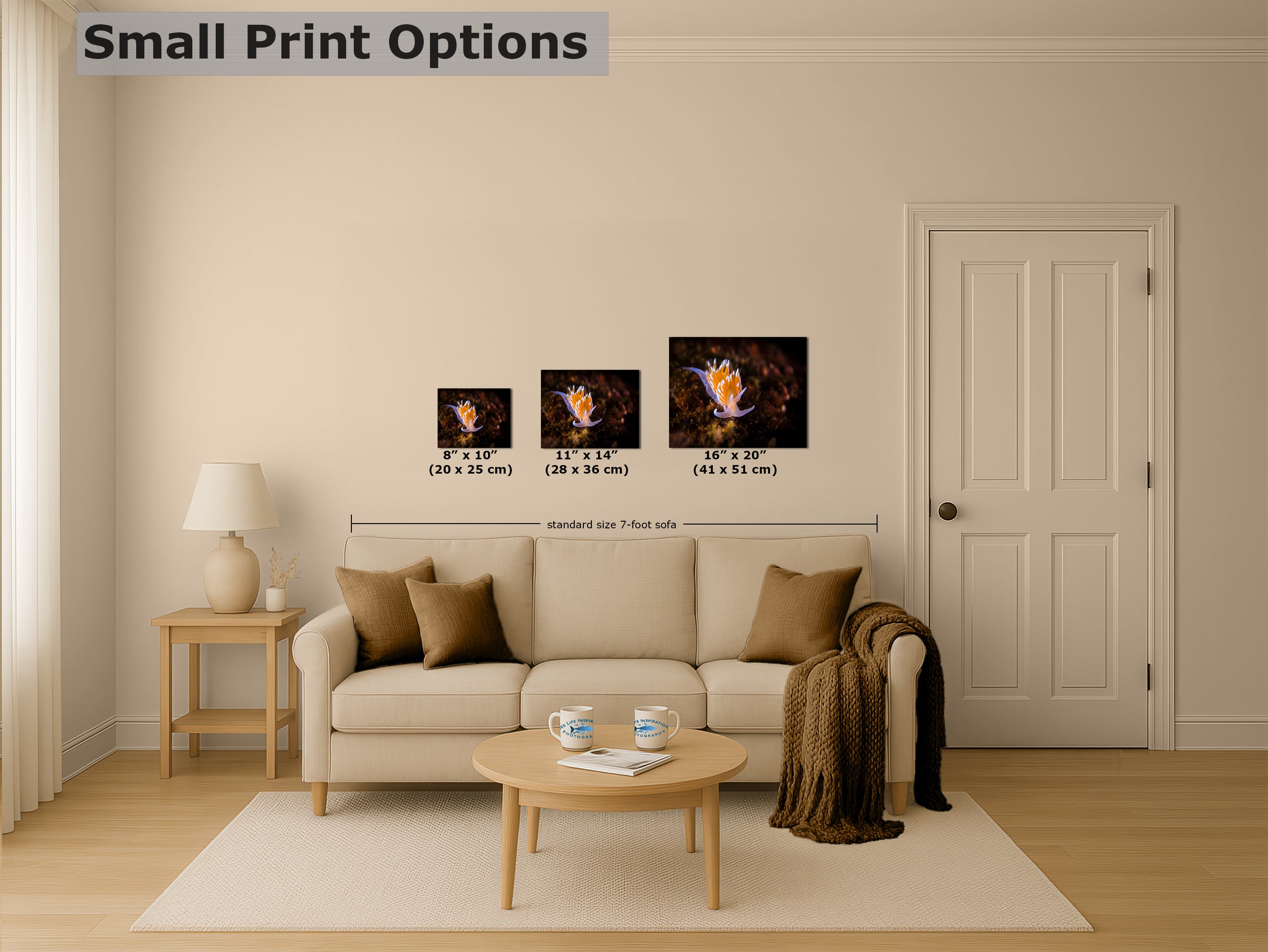 Hermissenda Opalescent Nudibranch Ocean Life Underwater Scenery Marine Biology Nature Photo