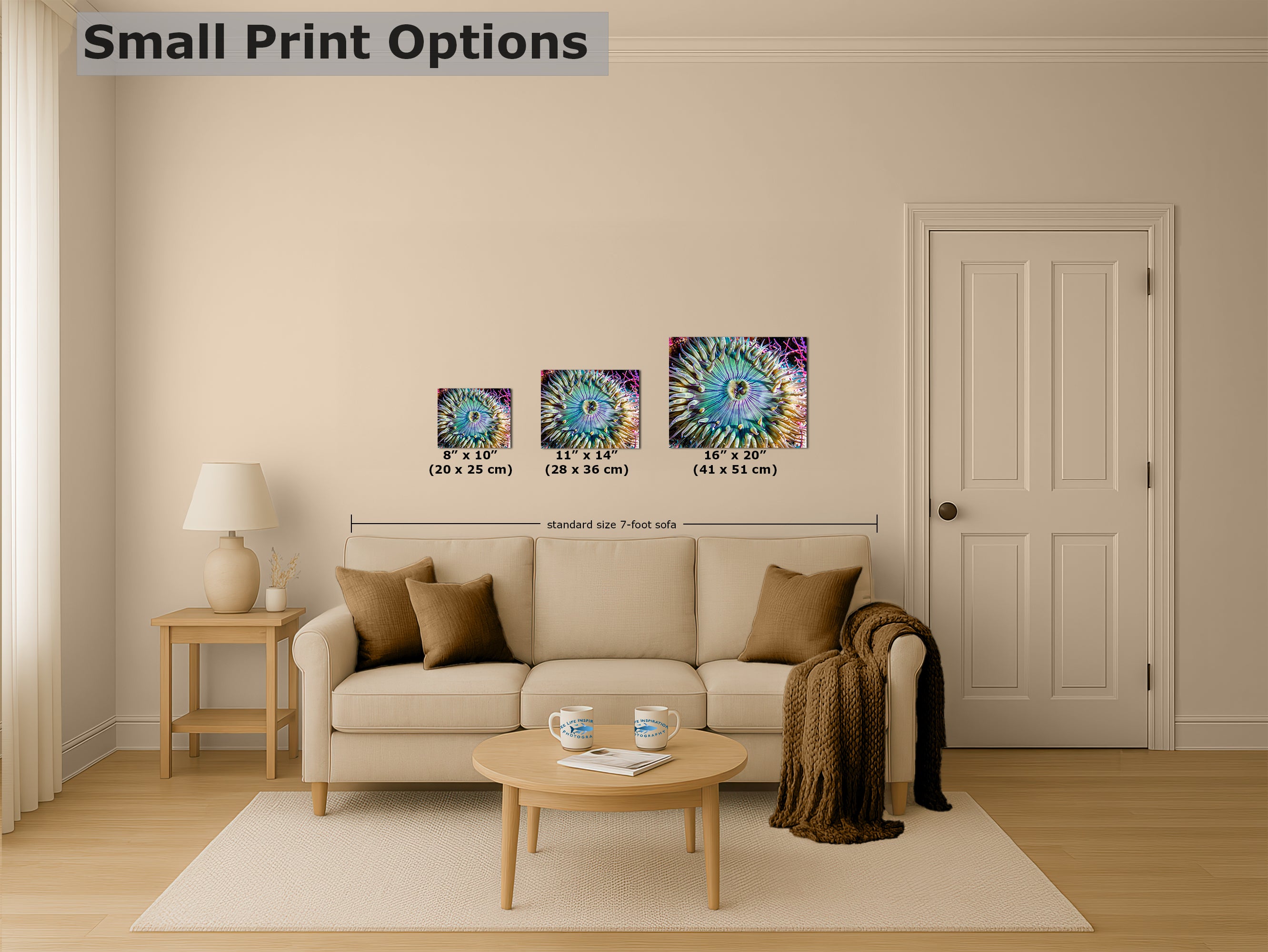 Sea Anemone Picture Ocean Life Underwater Scenery Nature Photo, Marine Biology Coral Reef Art