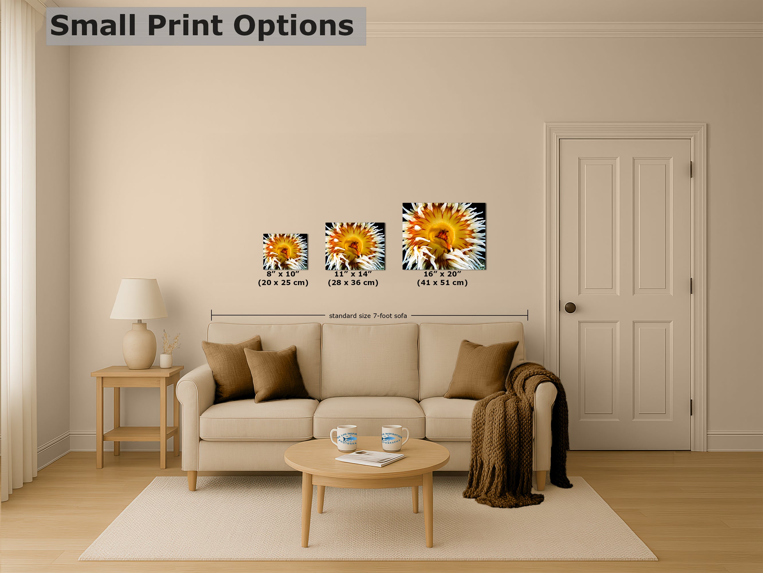 Sea Anemone Picture Ocean Life Underwater Scenery Nature Photo, Marine Biology Coral Reef Art