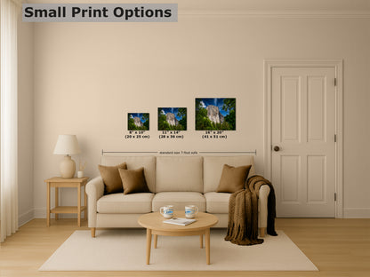 El Capitan Wall Art, Yosemite National Park Nature Photo