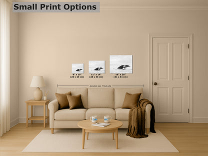 Humpback Whale Marine Mammal Wildlife Photography, Black and White, Monterey Bay Ocean Scene Art Print for Nature Lovers and Marine Conservation Decor