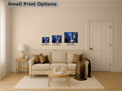 Las Vegas Raiders Football Decor, Allegiant Stadium Photograph Poster, NFL Man Cave, Dorm Room & Office Wall Art