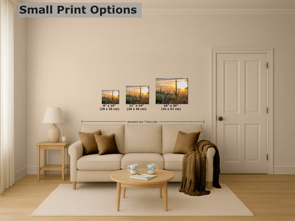 Saguaro National Park Arizona Desert Picture Sunset Nature Photo, Bohemian Style Relaxation Artwork, Southwestern Sonoran Desert House Decor