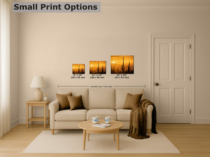 Saguaro National Park Arizona Desert Picture Nature Photo Silhouette, Bohemian Style Relaxation Artwork, Southwestern Sonoran Desert House Decor