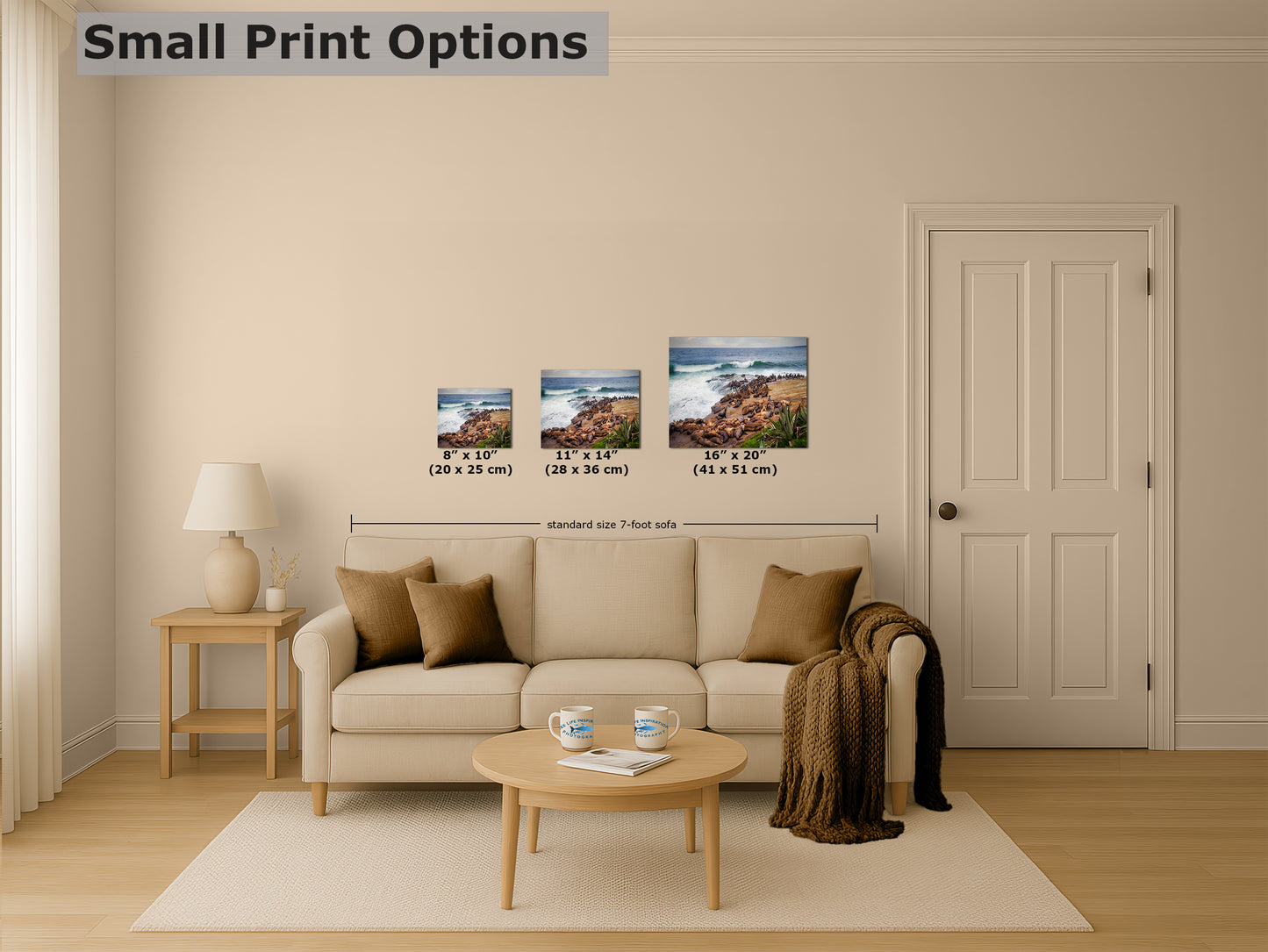 California Sea Lion Marine Mammal Wildlife Photography | Calming Nature Ocean Picture, Relaxation Artwork, La Jolla Coast, Nature Photo