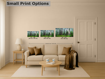 Redwood Trees Forest Picture Nature Photo, Forest Bathing in Misty California Redwoods Wall Art, for Relaxation in the Home and Office