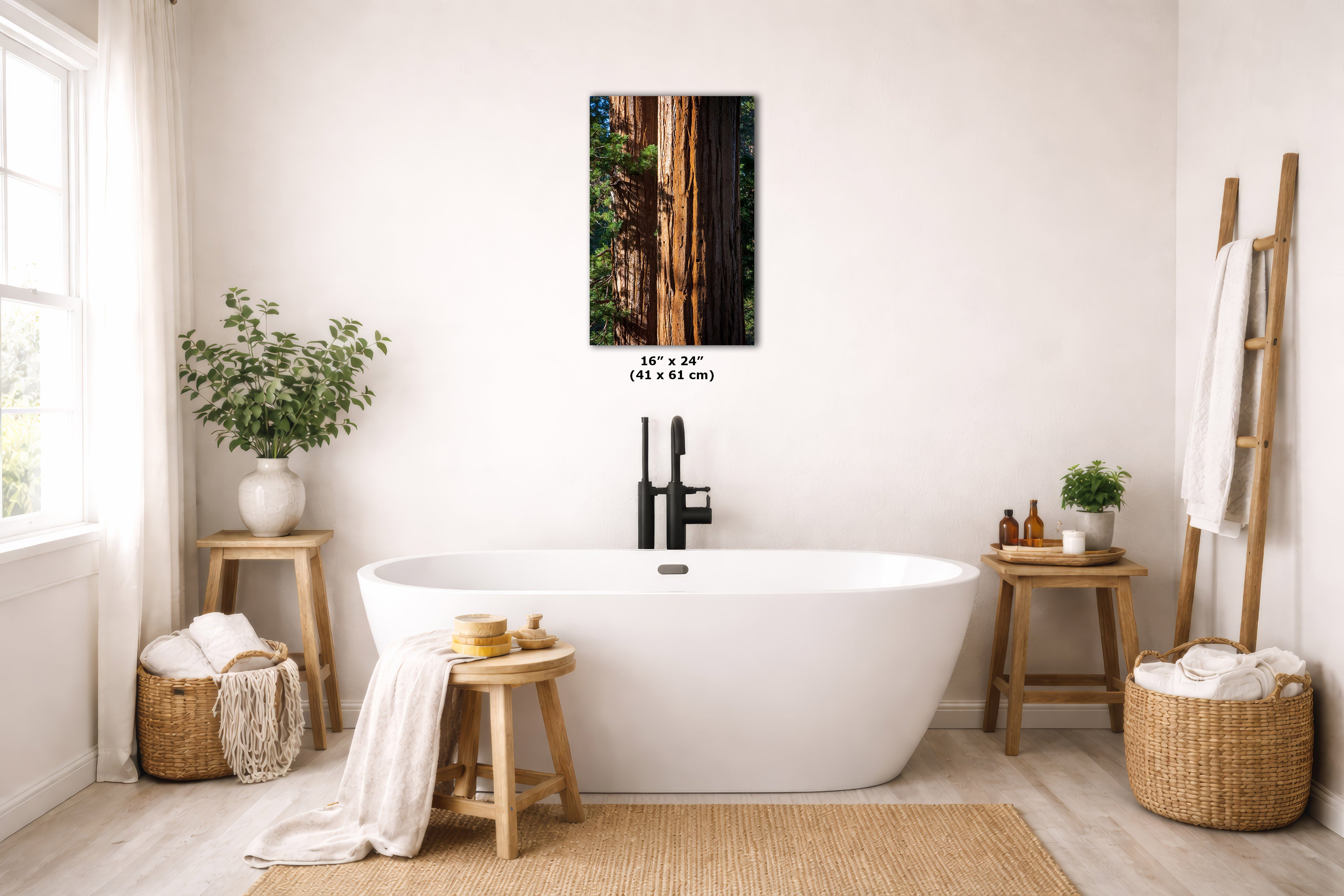A freestanding white bathtub in a bright, neutral-toned bathroom with a vertical wall art print depicting a forest of Sequoia trees. The print is centered above the tub, with size text below it.