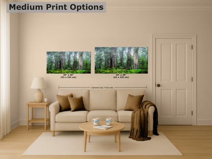 Redwood Trees Forest Picture Nature Photo, Forest Bathing in Misty California Redwoods Wall Art, for Relaxation in the Home and Office