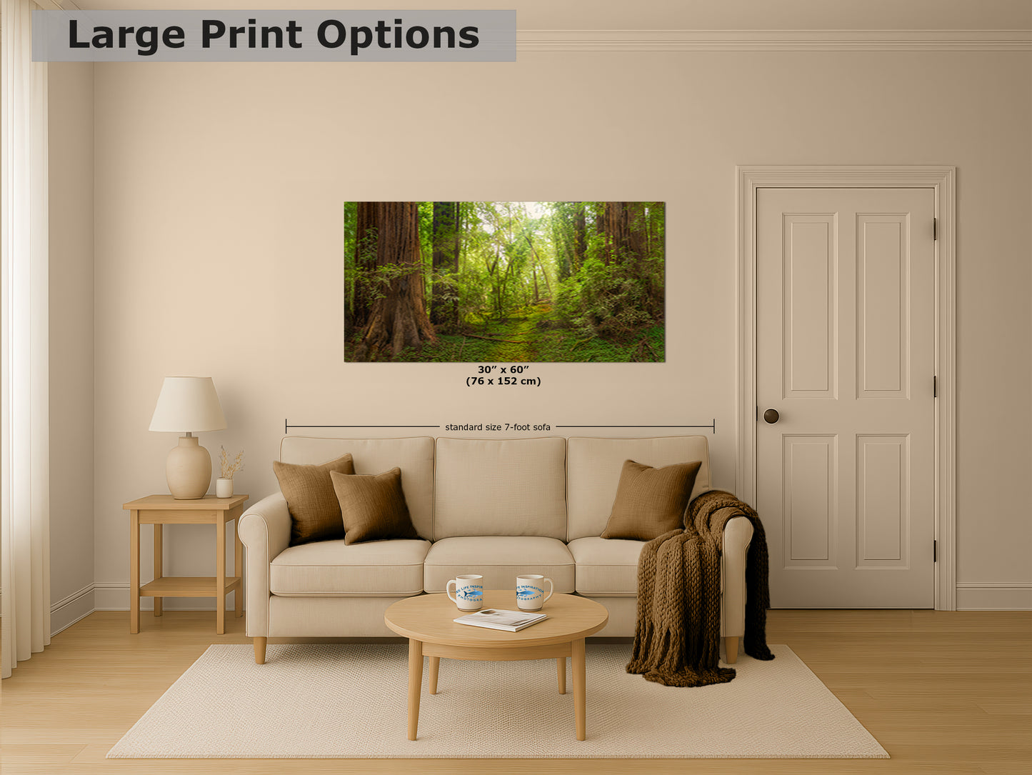 Redwood Tree Wall Art - Panoramic Forest Picture Nature Photo