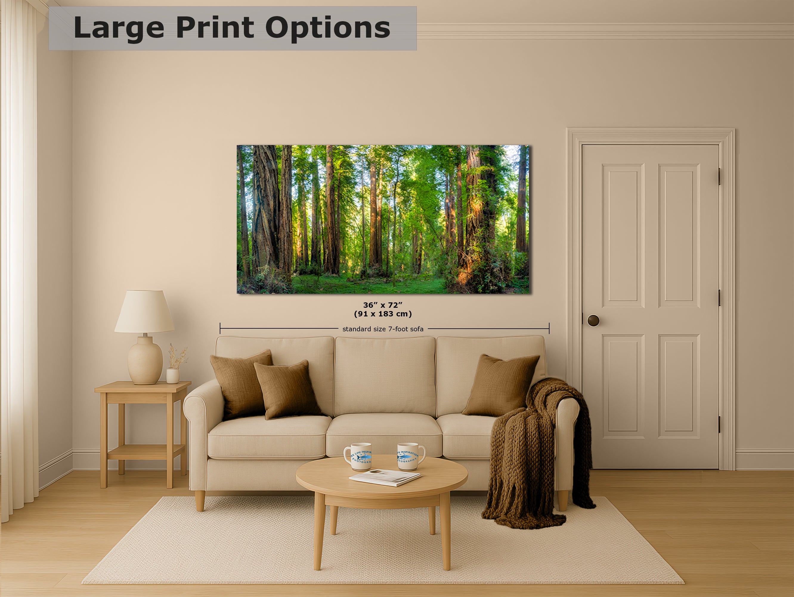 Redwood Trees Forest Picture Nature Photo, Forest Bathing Relaxation Artwork for Calming Meditation, Office and House Decor