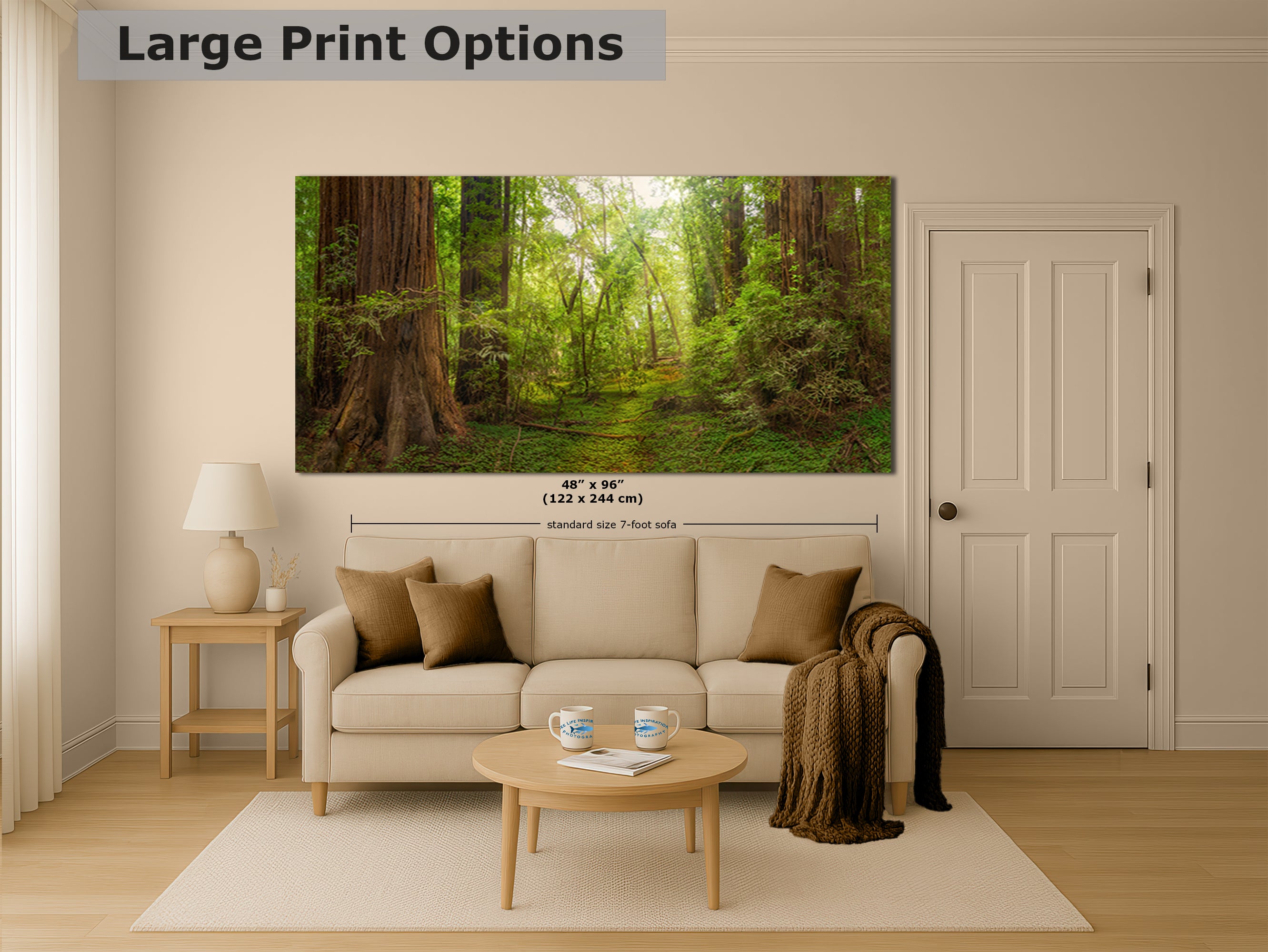 Redwood Tree Wall Art - Panoramic Forest Picture Nature Photo