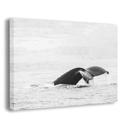 Humpback Whale Tail Print Black and White Sealife Décor, Coastal Wall Art Whale Poster, Ocean Nursery Kids Room Decor, Wildlife Photography