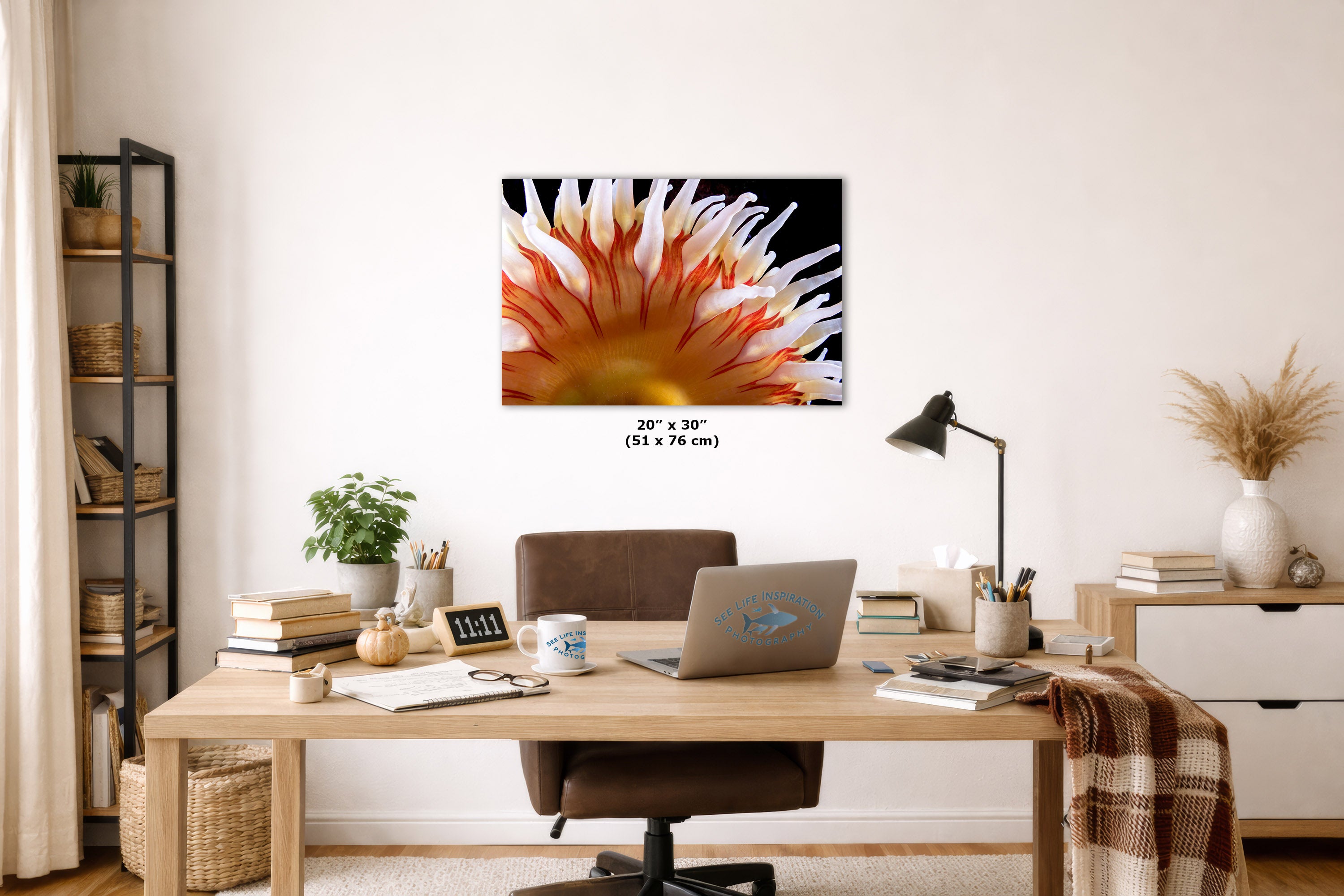 A square wall art print featuring a close-up of a vibrant anemone with white, orange, and yellow on a black background, displayed in a modern home office setting above a wooden desk.