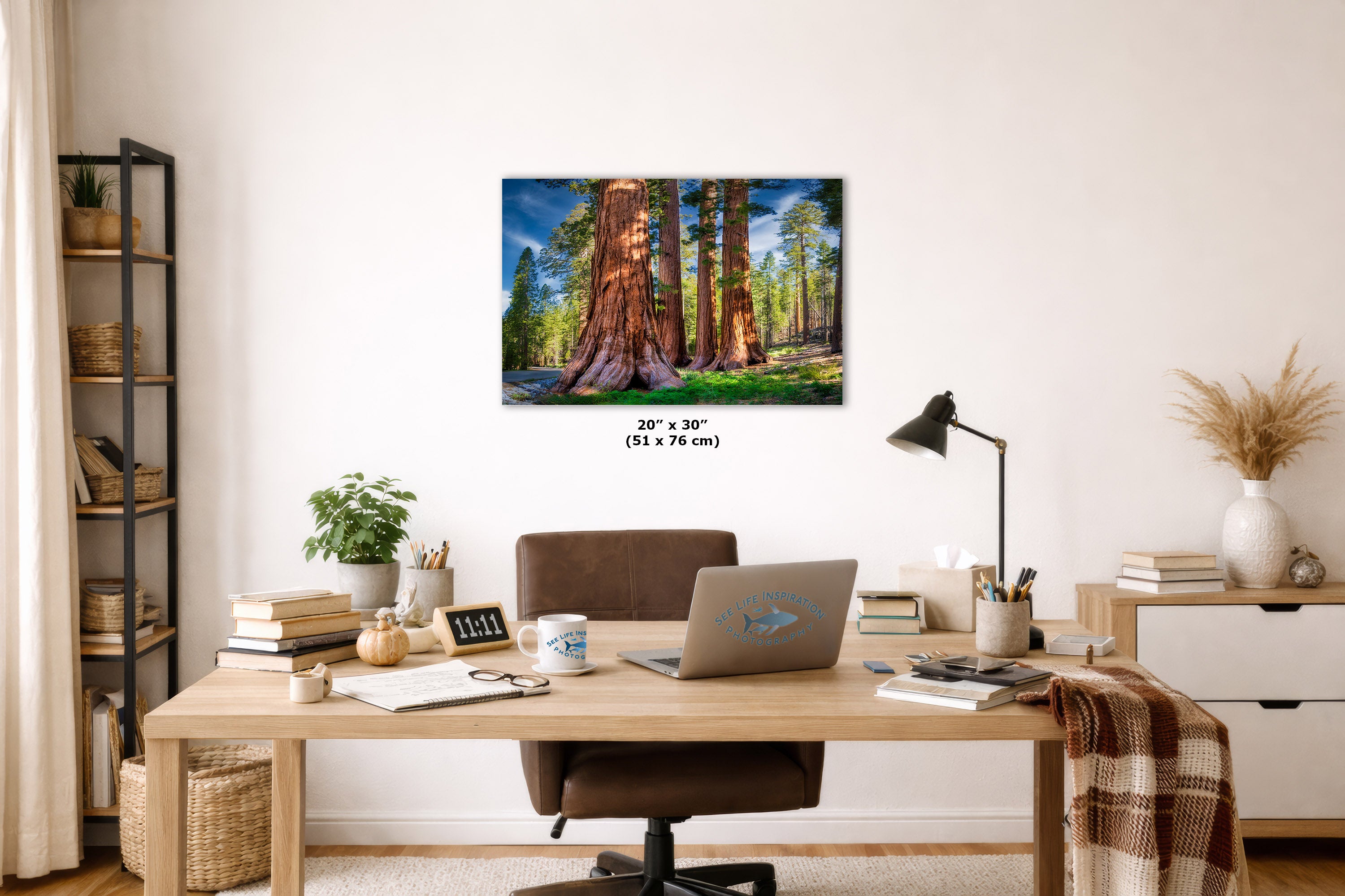 A framed wall art print depicting giant redwood trees in a forest, displayed above a wooden desk in a styled home office setting. The print has a size label of 20 x 30 inches printed below it.
