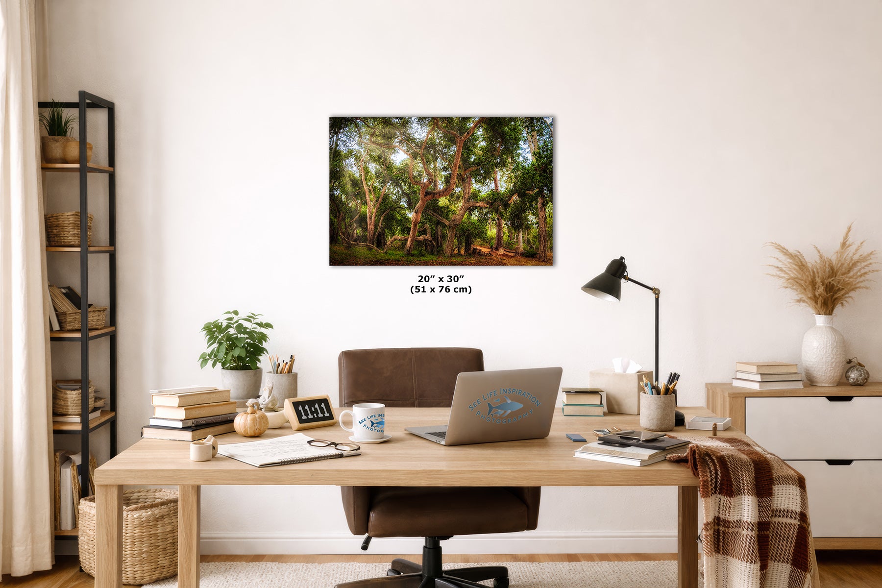 A wall art print depicting a sunlit coast live oak forest with green trees and warm brown trunks, displayed above a wooden desk in a styled home office. The print includes size text reading 24 x 30 in (51 x 76 cm).