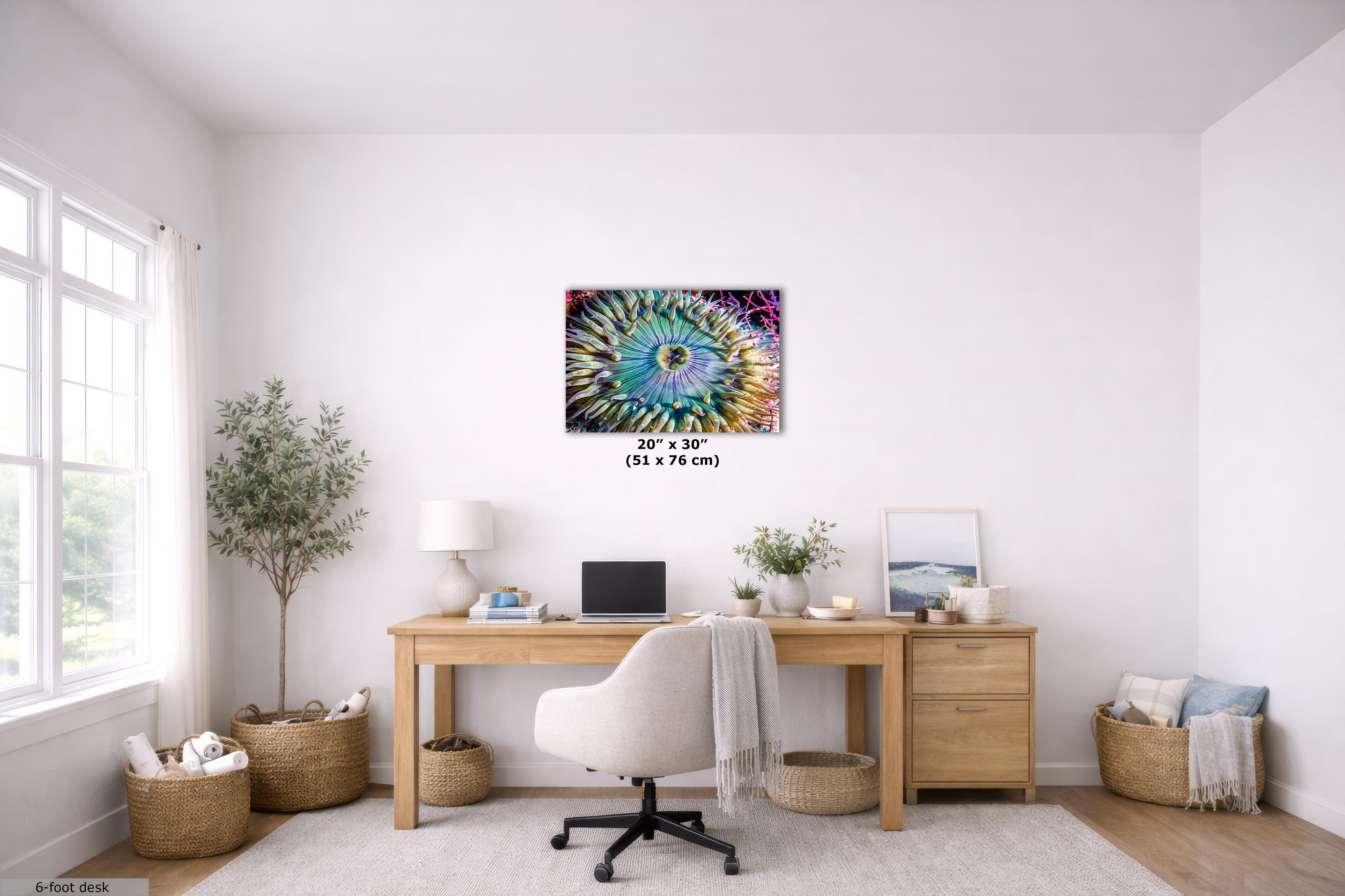 Ocean Life Limited Edition Fine Art Print Underwater Sea Anemone Photo