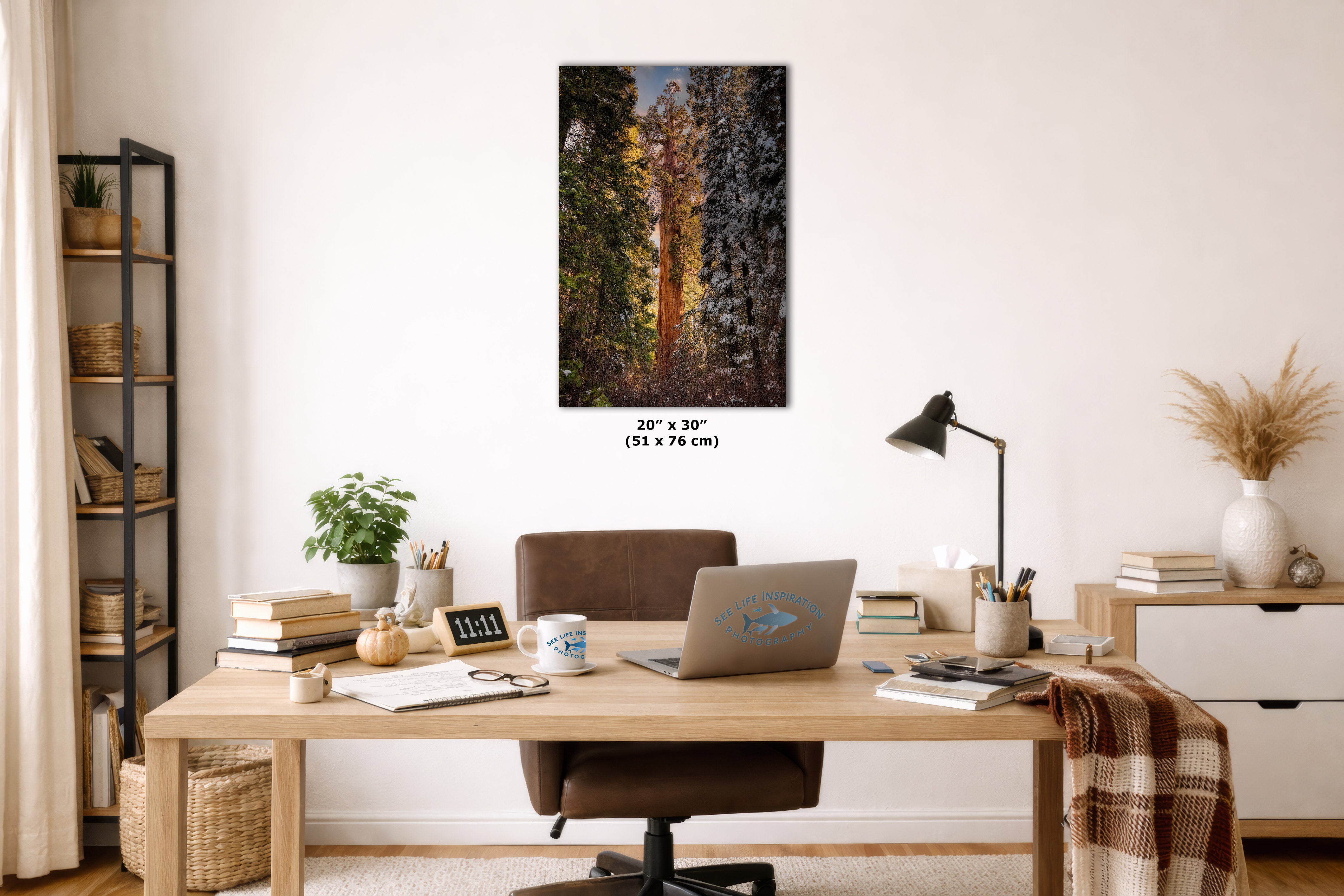 A vertical wall art print depicting a sunlit forest with tall trees, shown hanging above a wooden desk in a styled home office interior. The print includes size text reading 20 x 30 in.