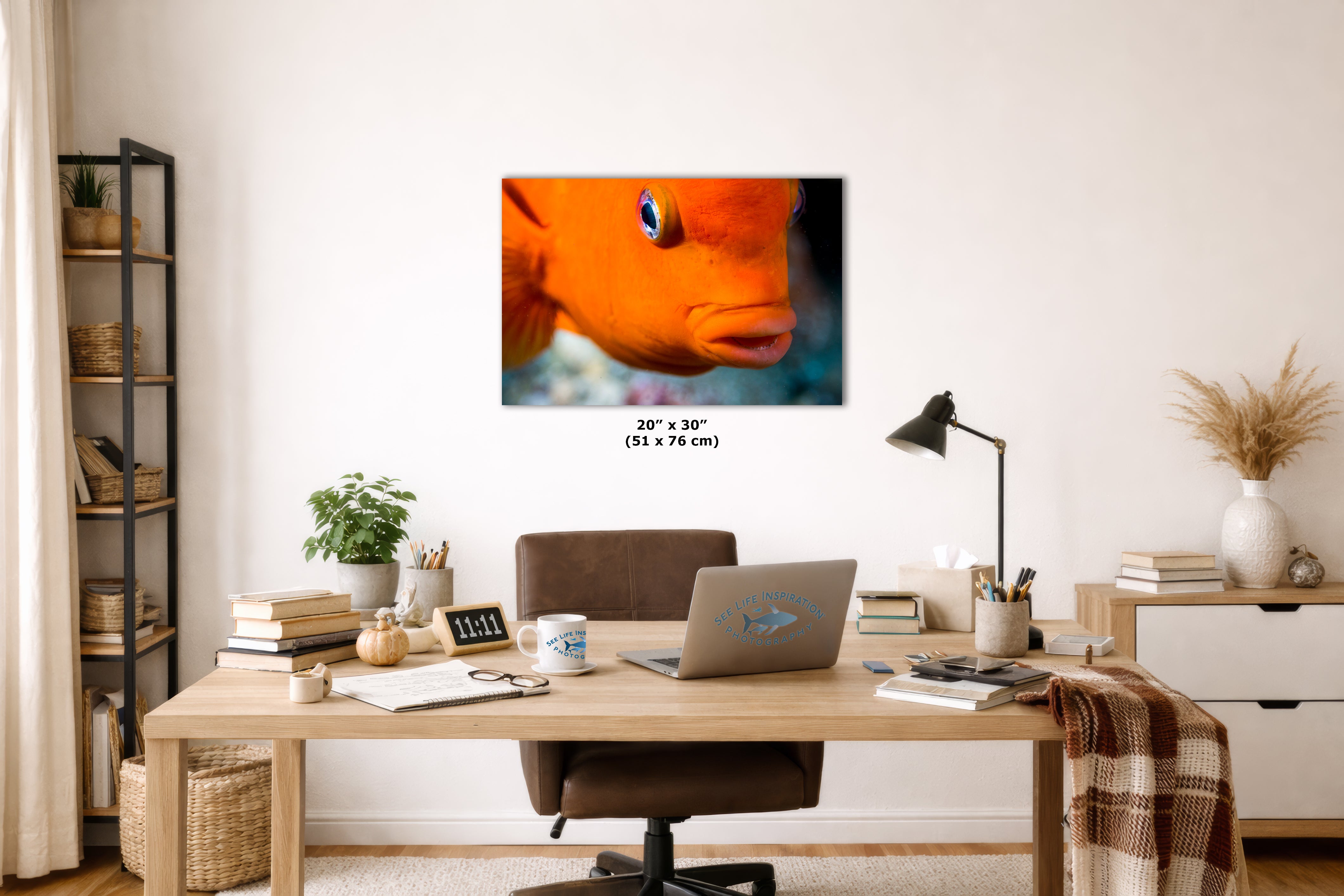 Garibaldi Fish Marine Biology Ocean Life, Underwater Scenery Nature Photo, California Marine Inhabitant, Nature Decor, Relaxation Artwork