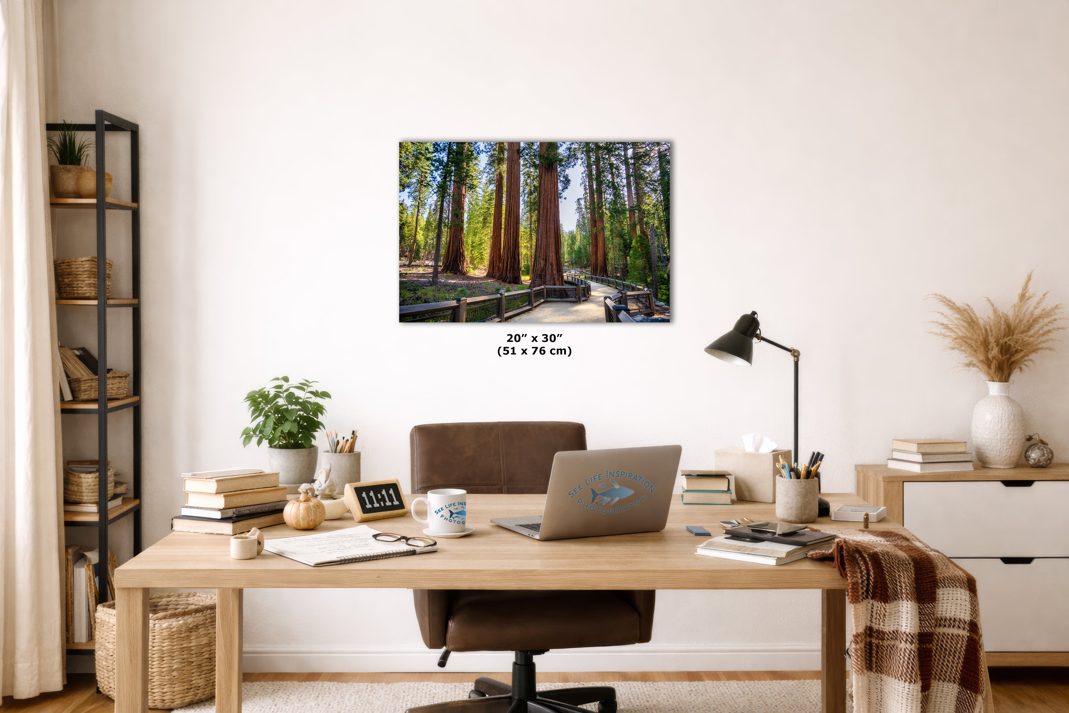 Giant Sequoia Tree Forest Picture Nature Photo | Yosemite Redwood Trees for Nature Lovers & Forest Bathing Relaxation, Meditation Artwork