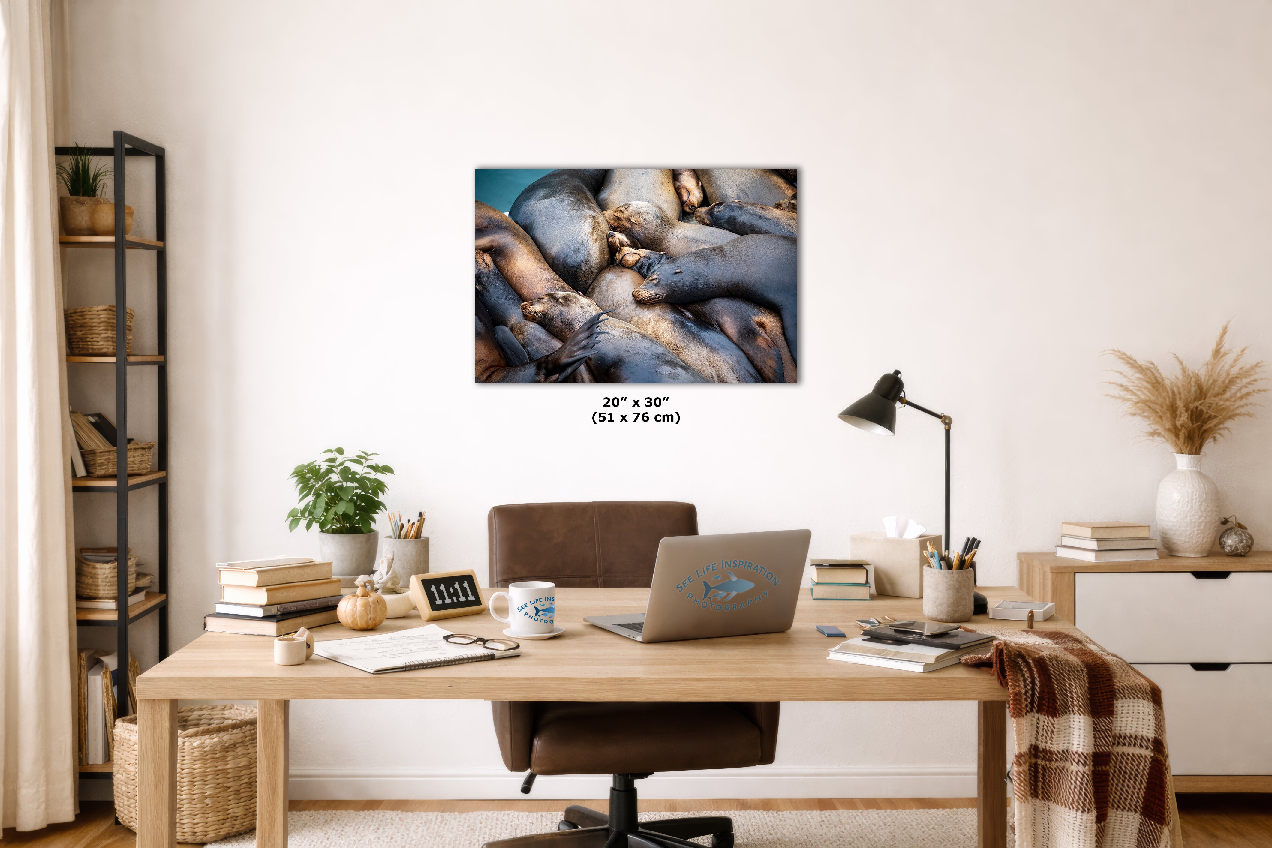 California Sea Lion Marine Mammal Wildlife Photography Wall Art - Ocean Animals Nursery Decor Coastal Home Artwork, Marine Biology Print
