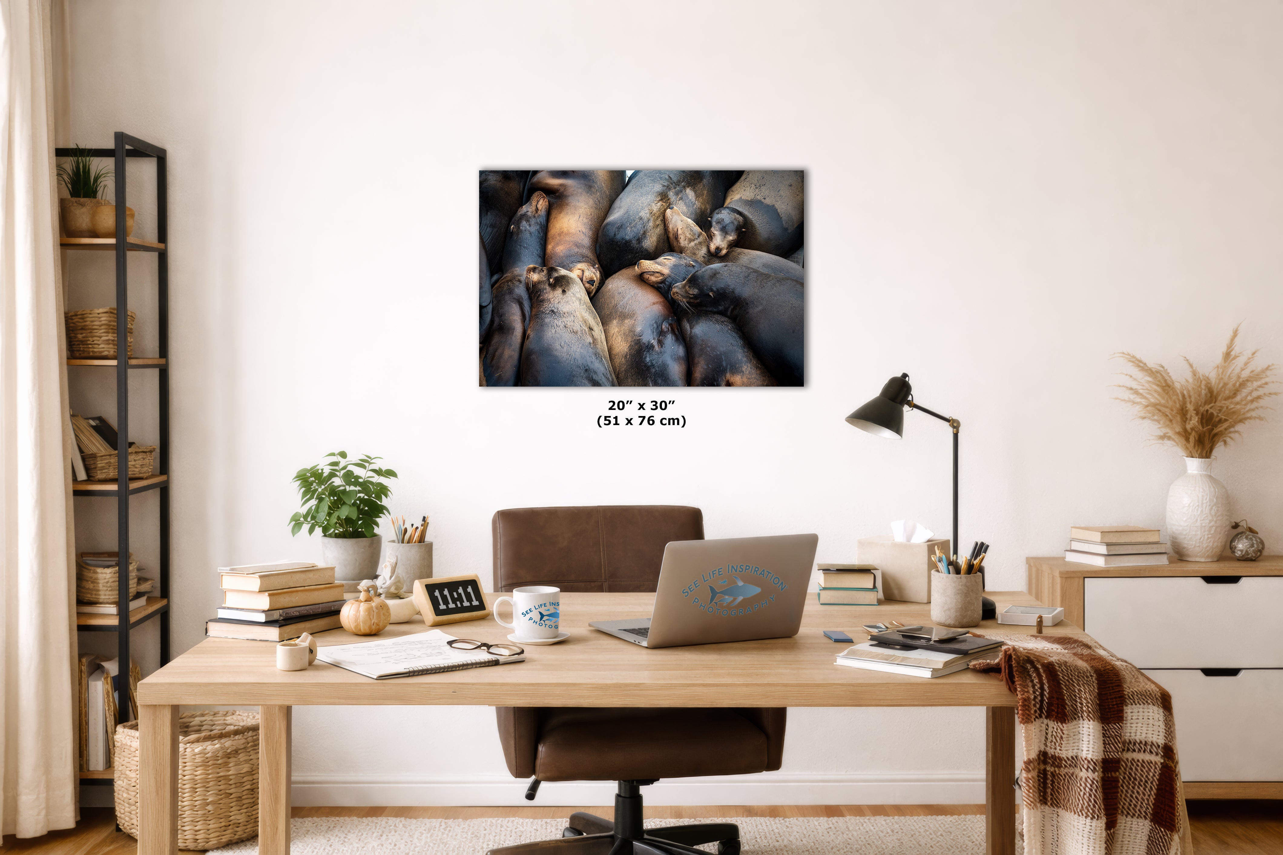 California Sea Lion Marine Mammal Wildlife Photography, Ocean Animals Nursery Decor, Relaxation Artwork for Beach-Themed Rooms