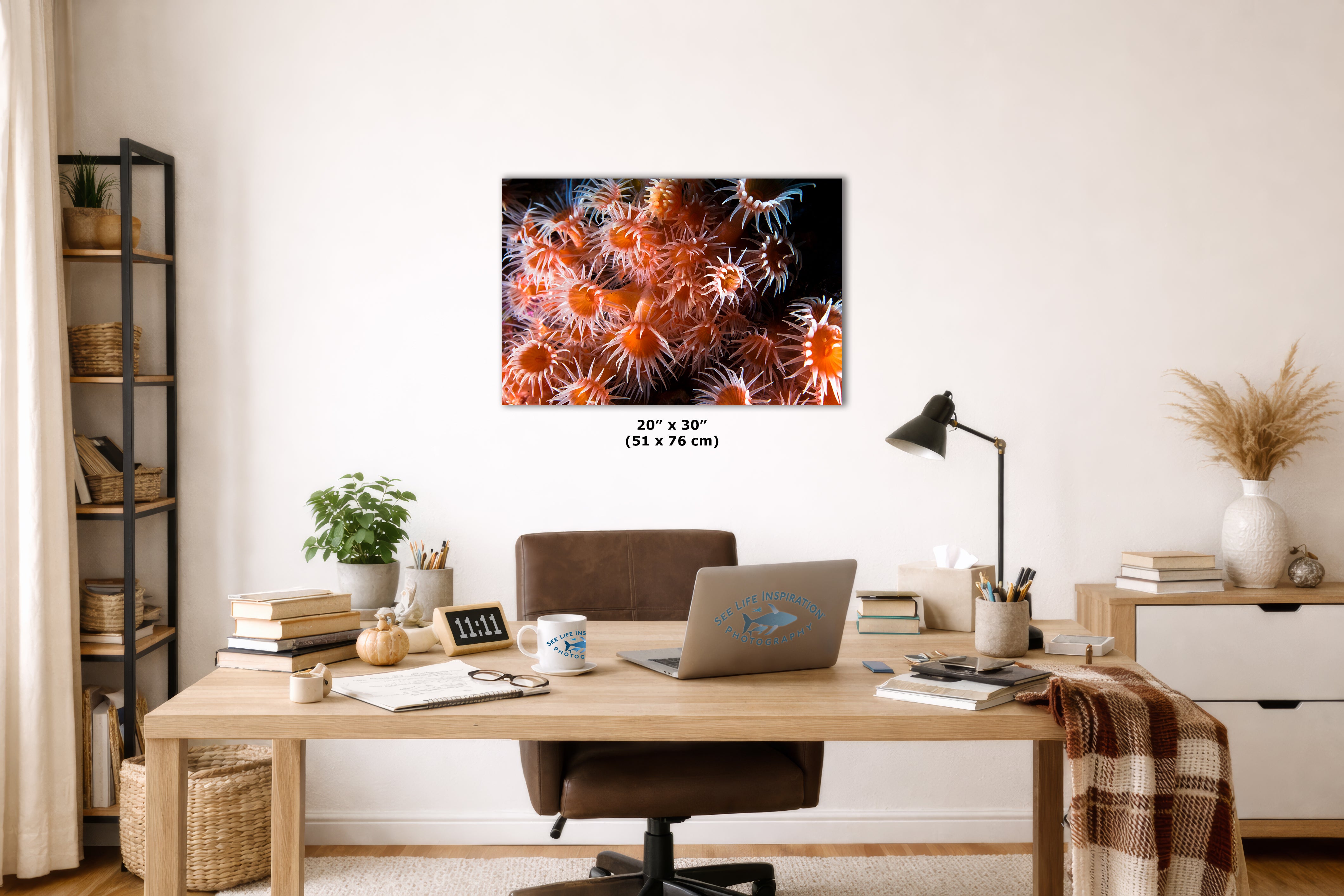 Sea Anemone Picture Ocean Life Underwater Scenery Nature Photo, Marine Biology Wall Art, Vibrant Orange Zoanthid Coral Reef, Ocean Decor