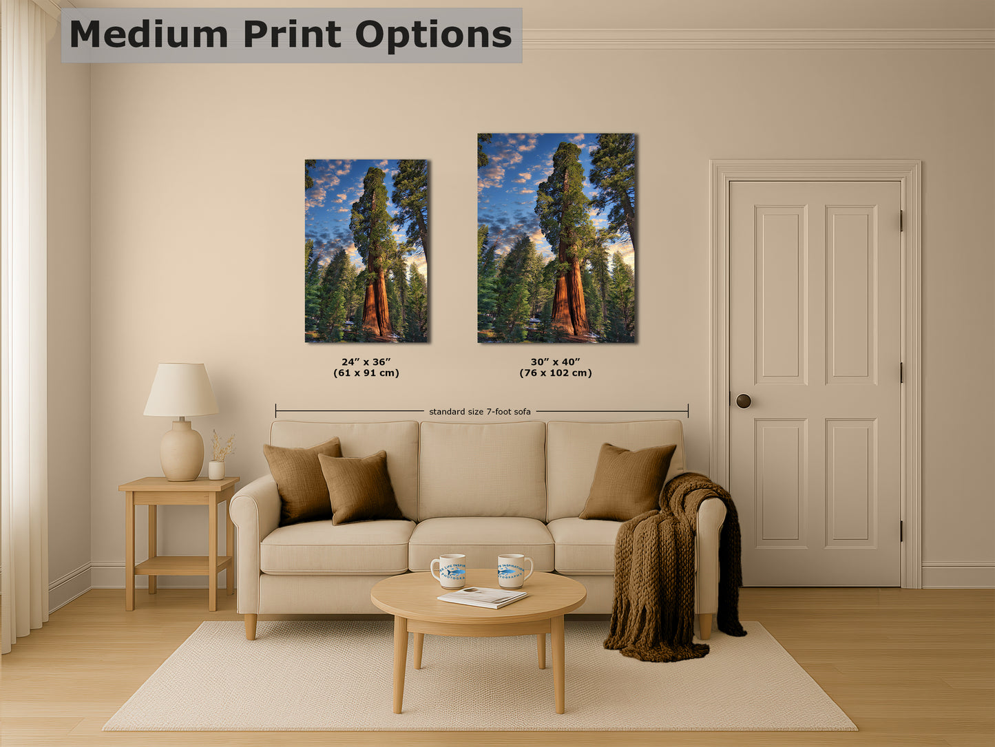 Giant Sequoia Tree Art, Redwood Forest Picture, Nature Photo Inspired Wall Decor