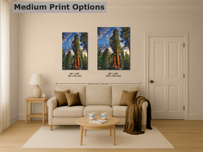 Giant Sequoia Tree Art, Redwood Forest Picture, Nature Photo Inspired Wall Decor