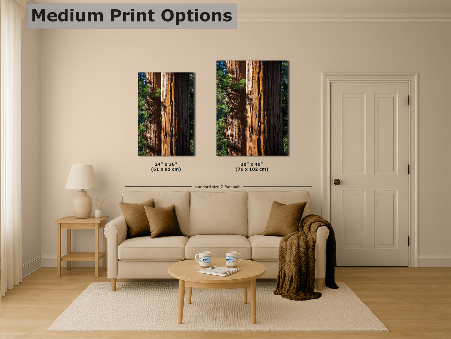 Giant Sequoia Tree Forest Picture Nature Photo, Redwood Trees Wall Art, Forest Bathing National Park Poster, Relaxation Decor