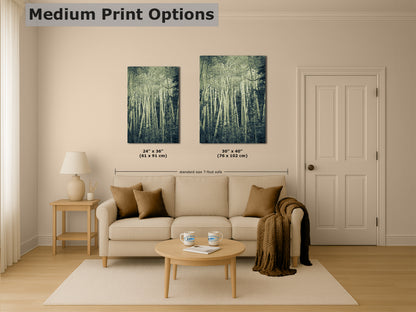 Aspen Tree Forest Picture Nature Photo, Forest Bathing Relaxation Artwork, Rustic Wall Art for Bedroom, Office, & House Decor