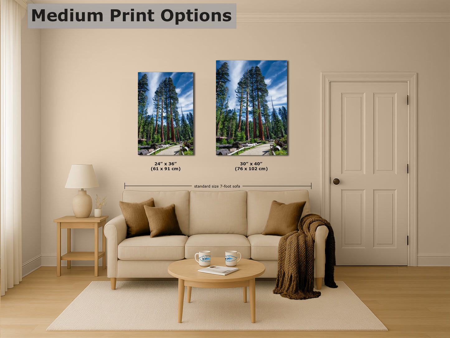 Giant Sequoia Tree Forest Picture Nature Photo, Redwood Trees Forest Bathing Decor, Relaxation Artwork for Home or Office