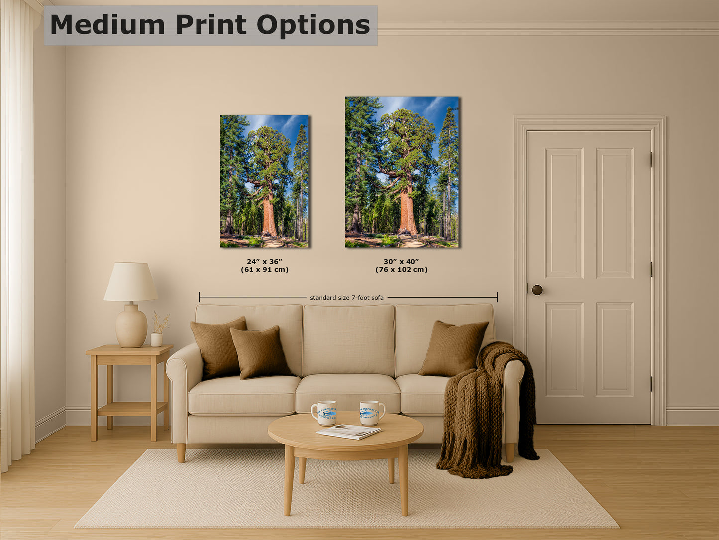 Giant Sequoia Tree Forest Picture Nature Photo, Yosemite Redwood Trees, Forest Bathing for Nature Lovers, House and Office