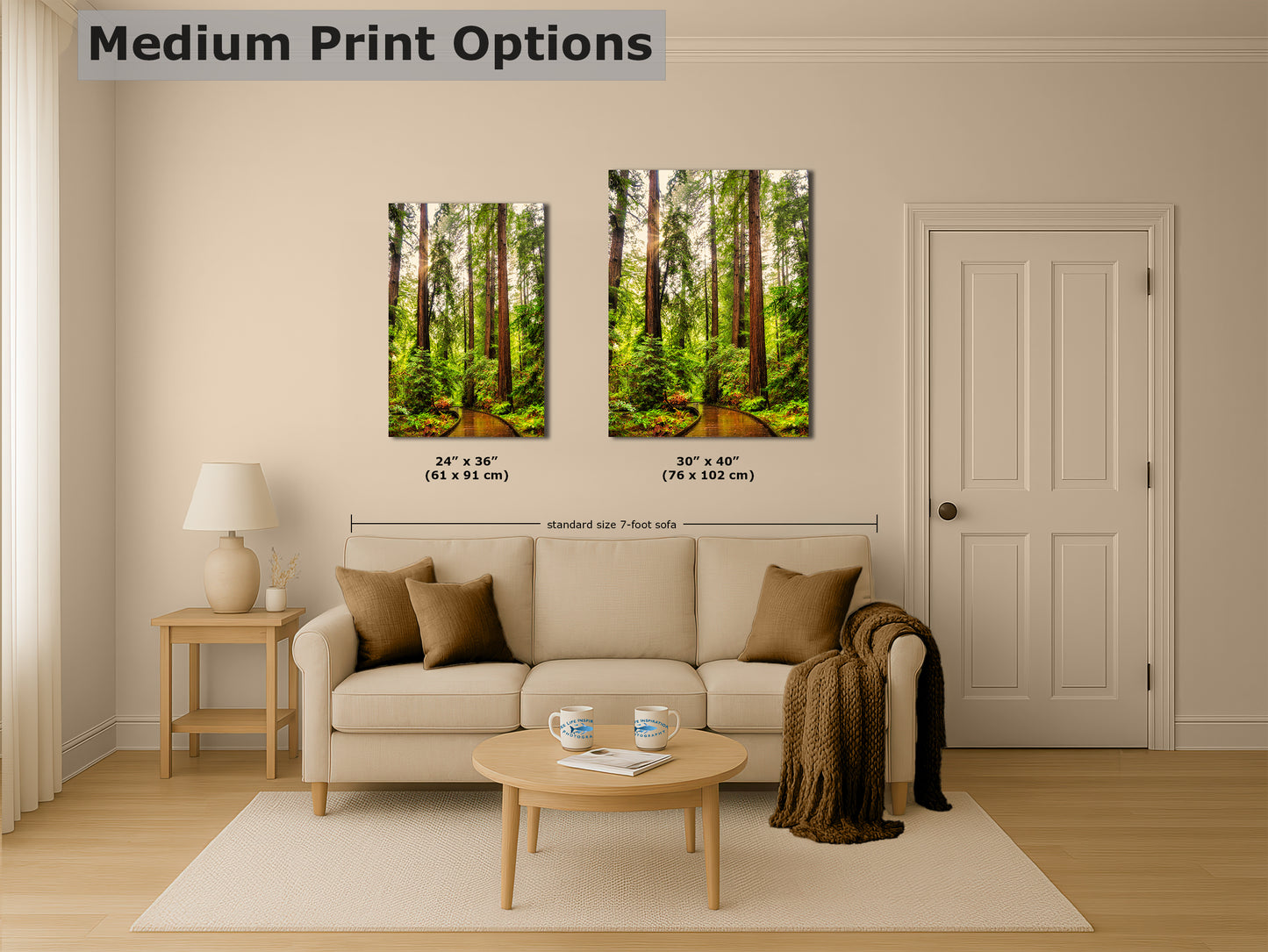 Redwood Trees Forest Picture Nature Photo, Forest Bathing House Decor, Relaxing Wall Art for Meditation, Home and Office