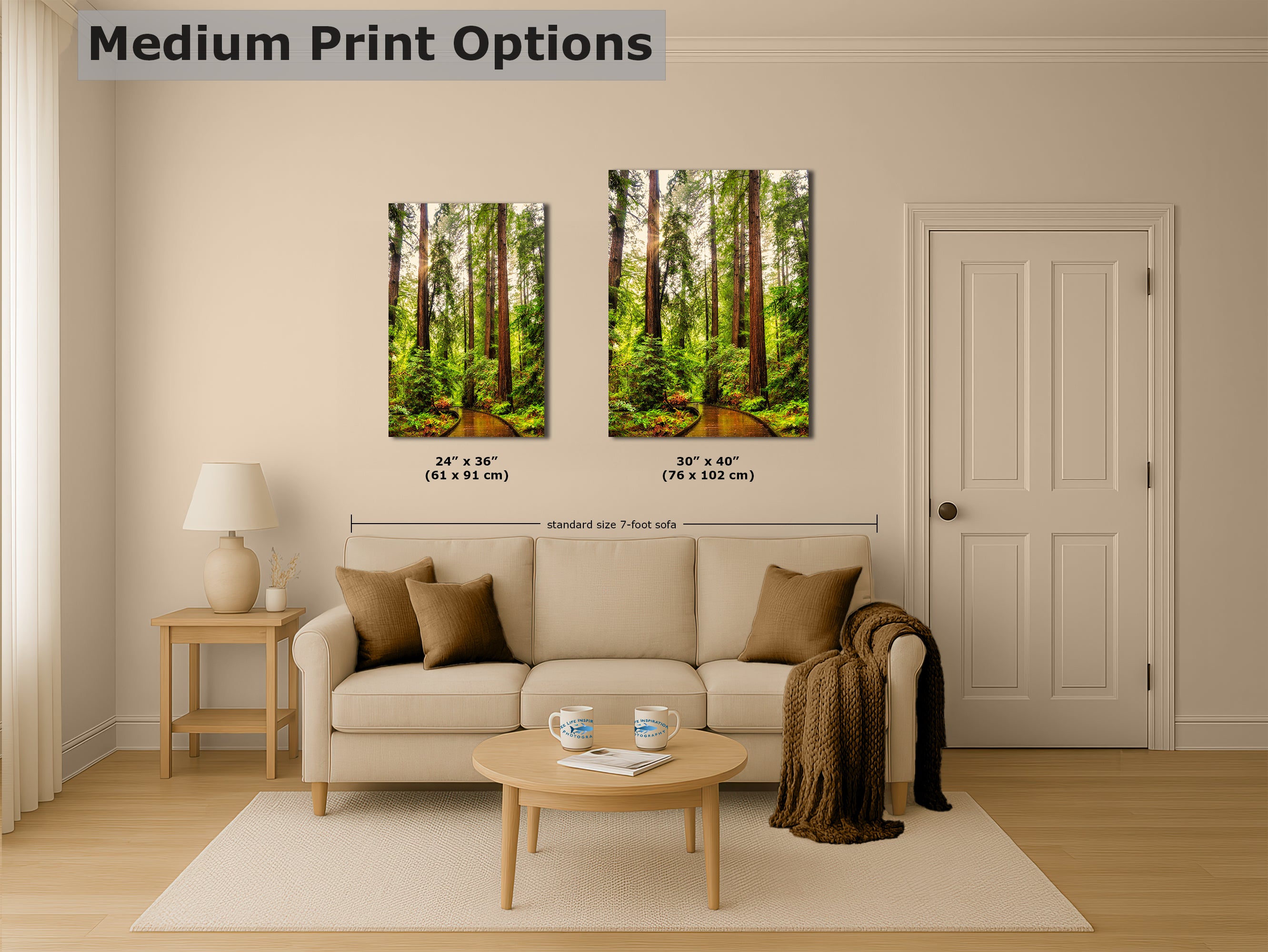 Redwood Trees Forest Picture Nature Photo, Forest Bathing House Decor