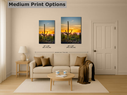 Saguaro National Park Arizona Desert Picture Nature Photo, Bohemian Style Relaxation Artwork, Southwestern Sonoran Desert House Decor