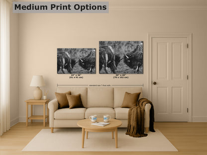 Buffalo Artwork Wildlife Photography, Black and White Bison Wall Decor, Rustic Cabin Animal Print, Nature Wall Art for Home or Office