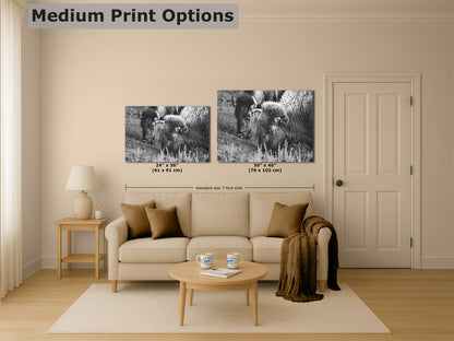 Grazing Buffalo Artwork Wildlife Photography, Black and White Bison Wall Decor, Rustic Cabin Animal Print, Nature Wall Art for Home or Office