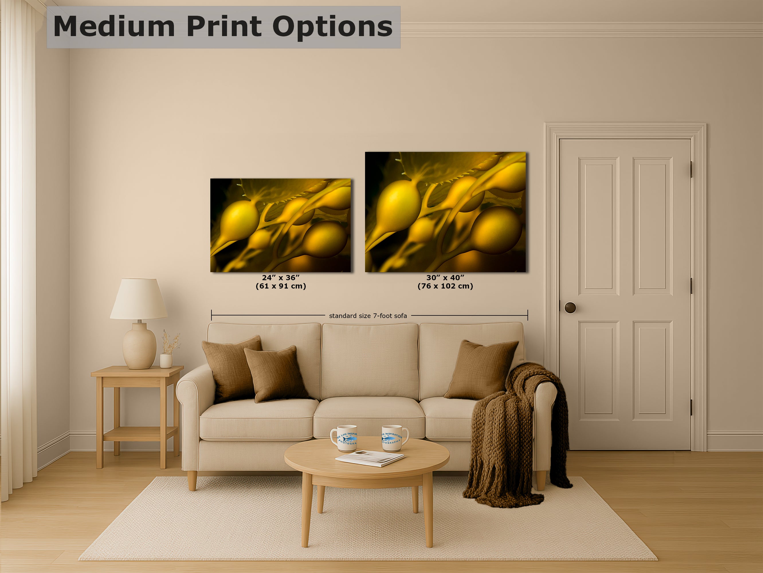 Kelp Forest Seaweed Pictures Underwater Scenery, Ocean Life Marine Biology Nature Photo Relaxation Artwork Decor for Office Dorm Room Decor