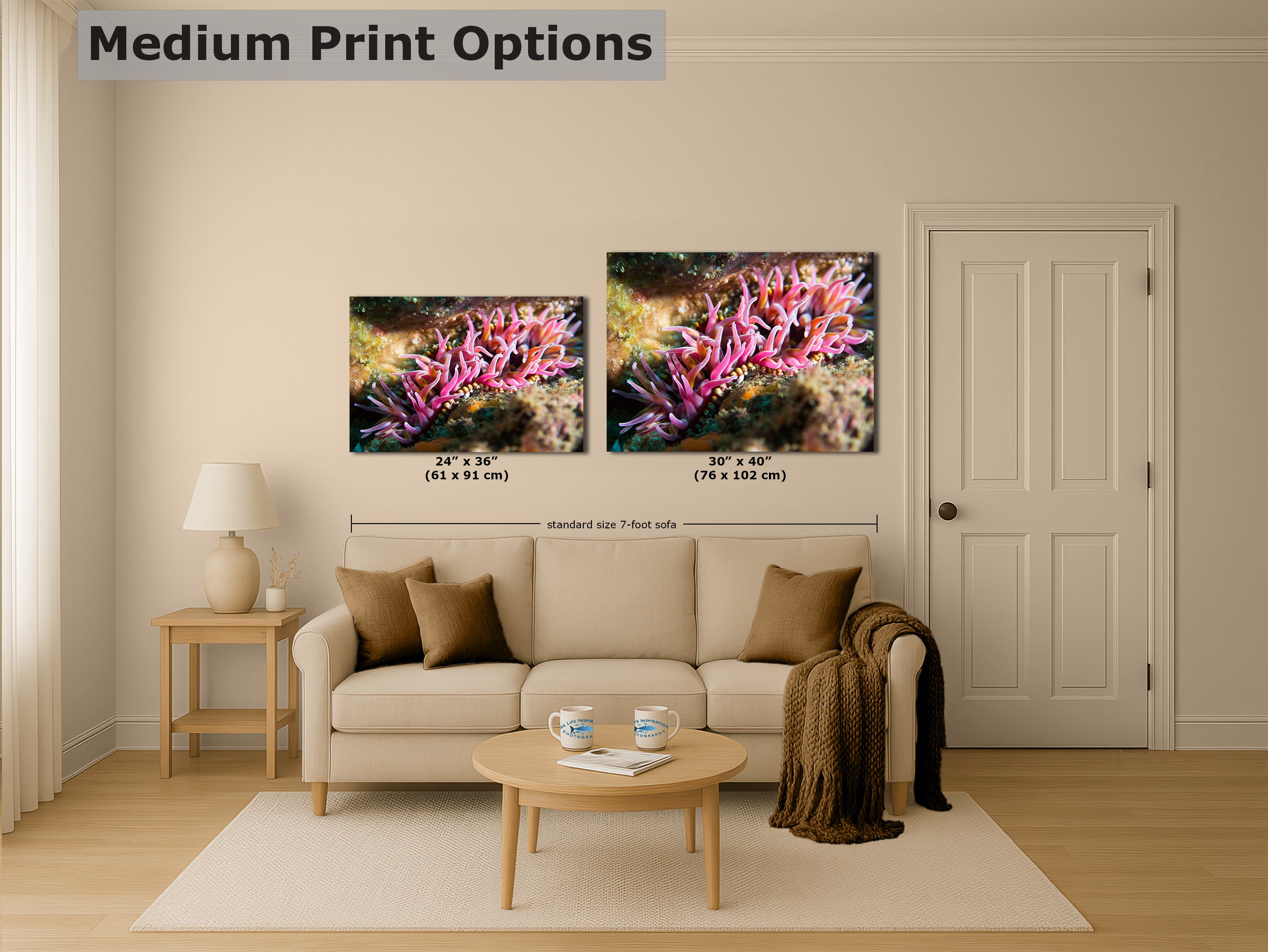 Sea Anemone Picture Ocean Life Underwater Scenery Nature Photo, Marine Biology Coral Reef Art, Vibrant Marine Wildlife Wall Decor