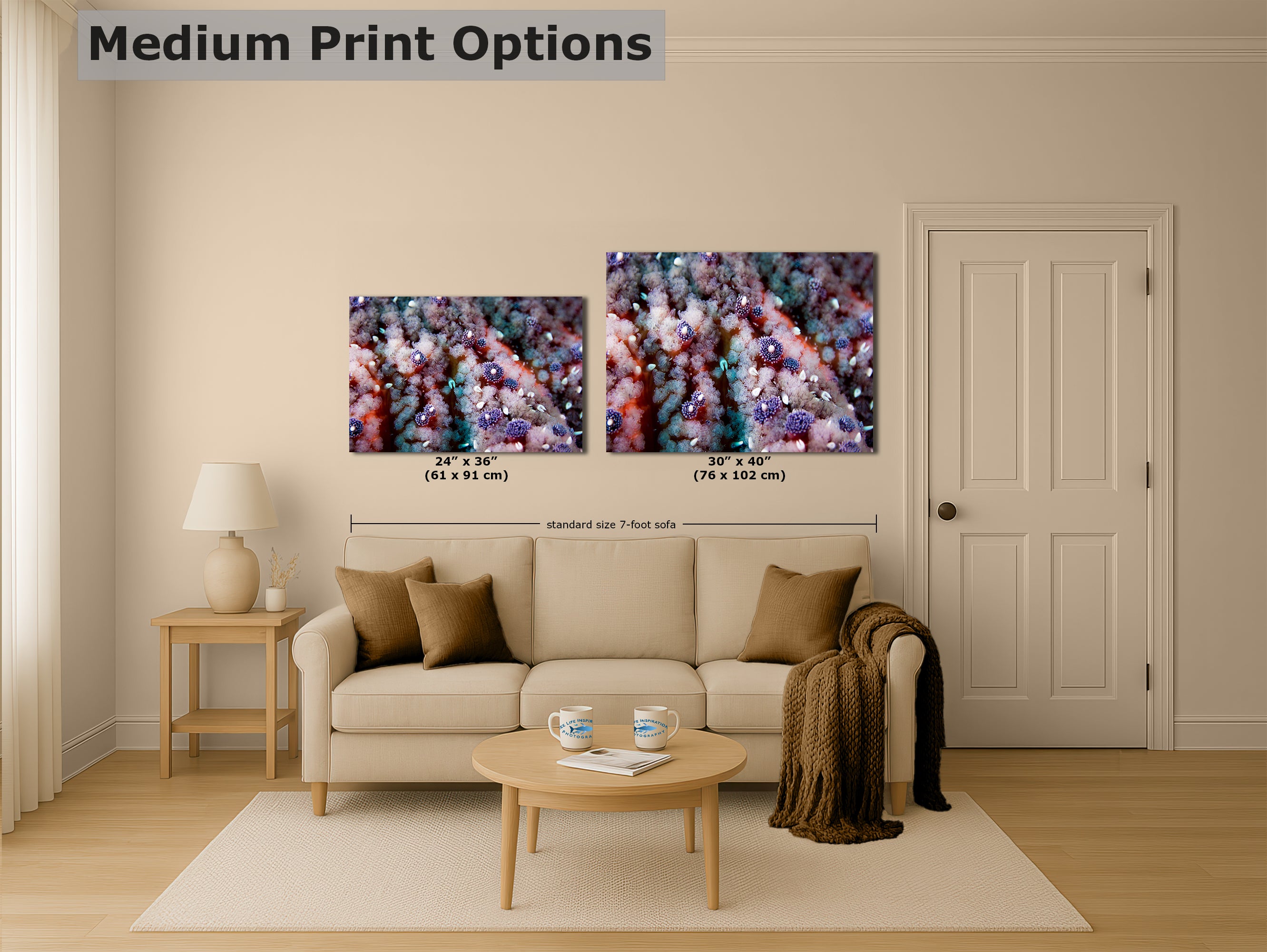 Ocean Life Starfish Photo, Marine Biology Underwater Scenery, Vibrant Coral Reef, Nature Photography for Office Decor, Relaxation Artwork