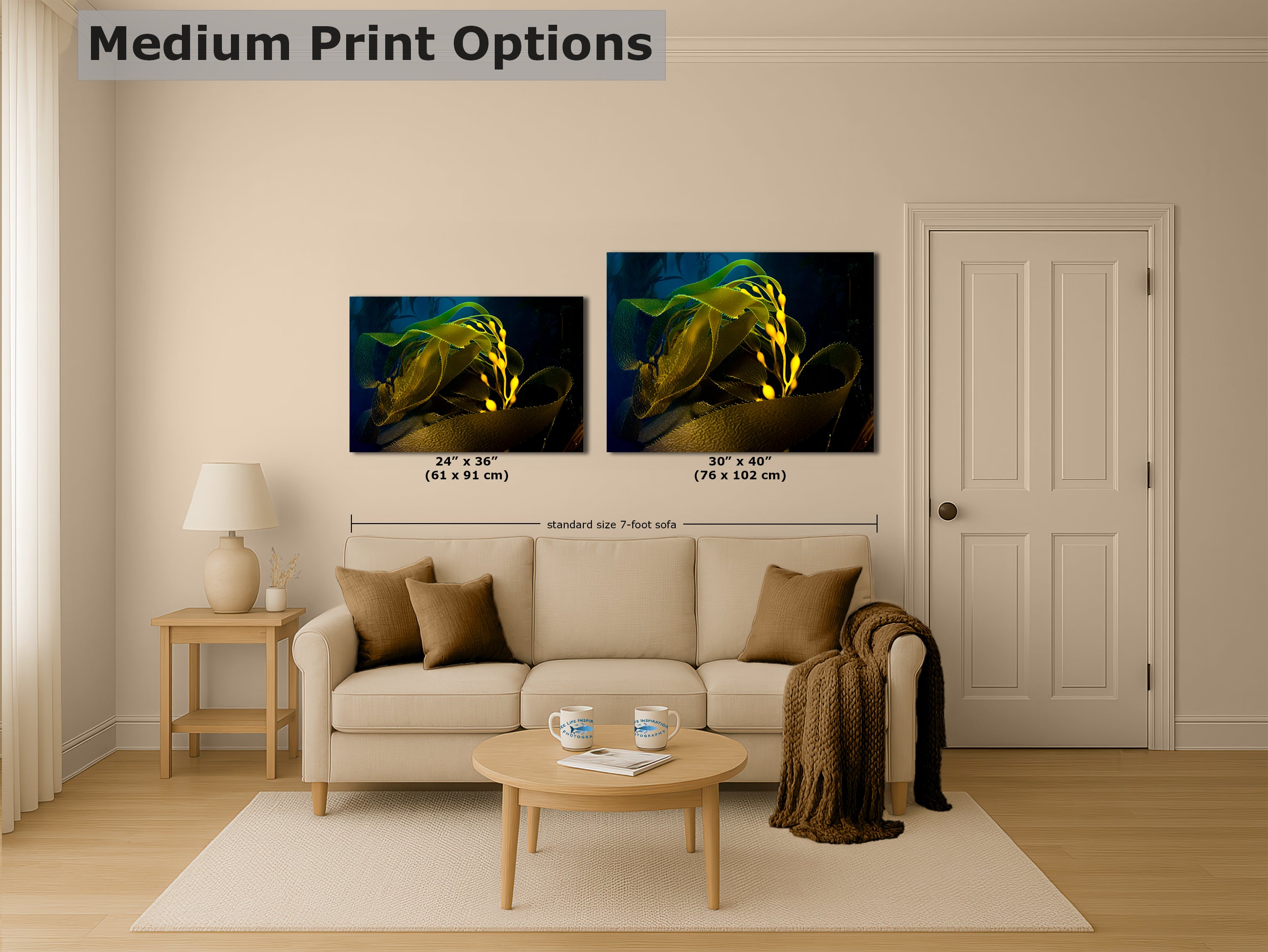 Kelp forest seaweed pictures underwater scenery, ocean life marine biology art, relaxation decor, ocean lover gift, deep sea nature photo