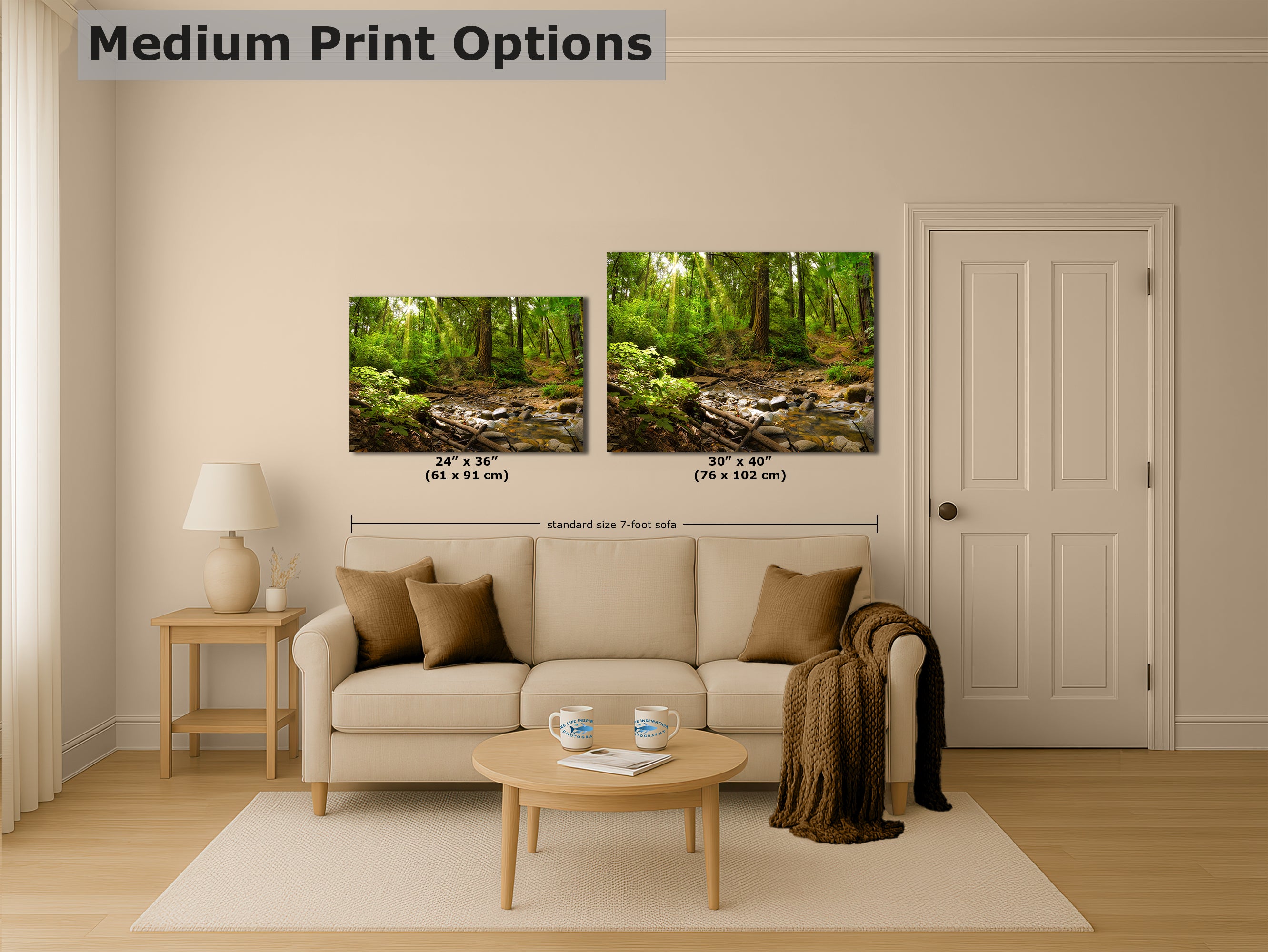 Redwood Trees Forest Picture Nature Photo, Forest Bathing in Santa Cruz California Coast Wall Art, Relaxing Artwork for House Decor & Office