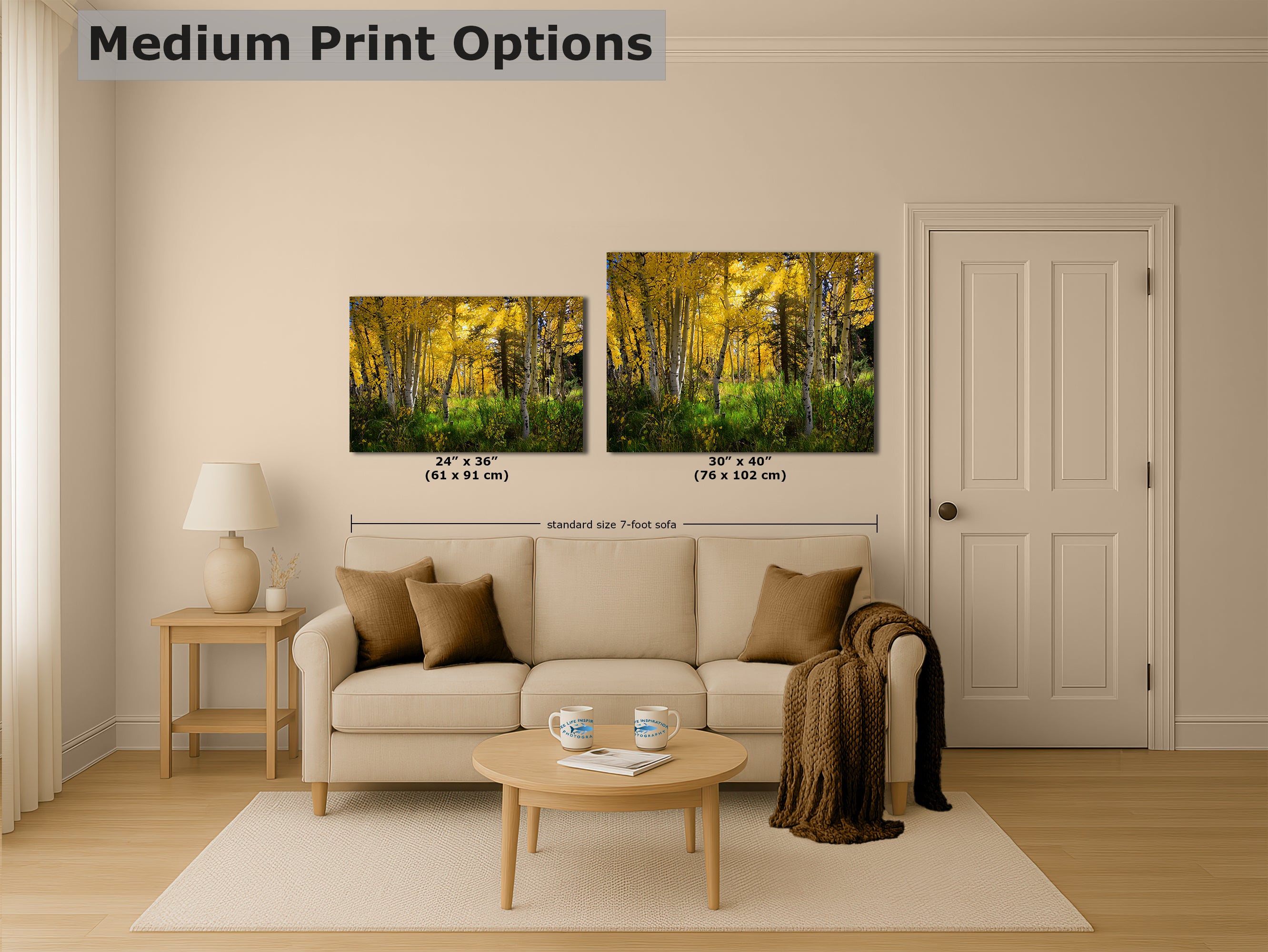 Aspen Tree Forest Picture Nature Photo, Forest Bathing Relaxation Artwork, Fall Colors Autumn for Meditation, Office and House Decor