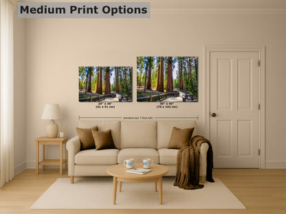 Giant Sequoia Tree Forest Picture Nature Photo | Yosemite Redwood Trees for Nature Lovers & Forest Bathing Relaxation, Meditation Artwork