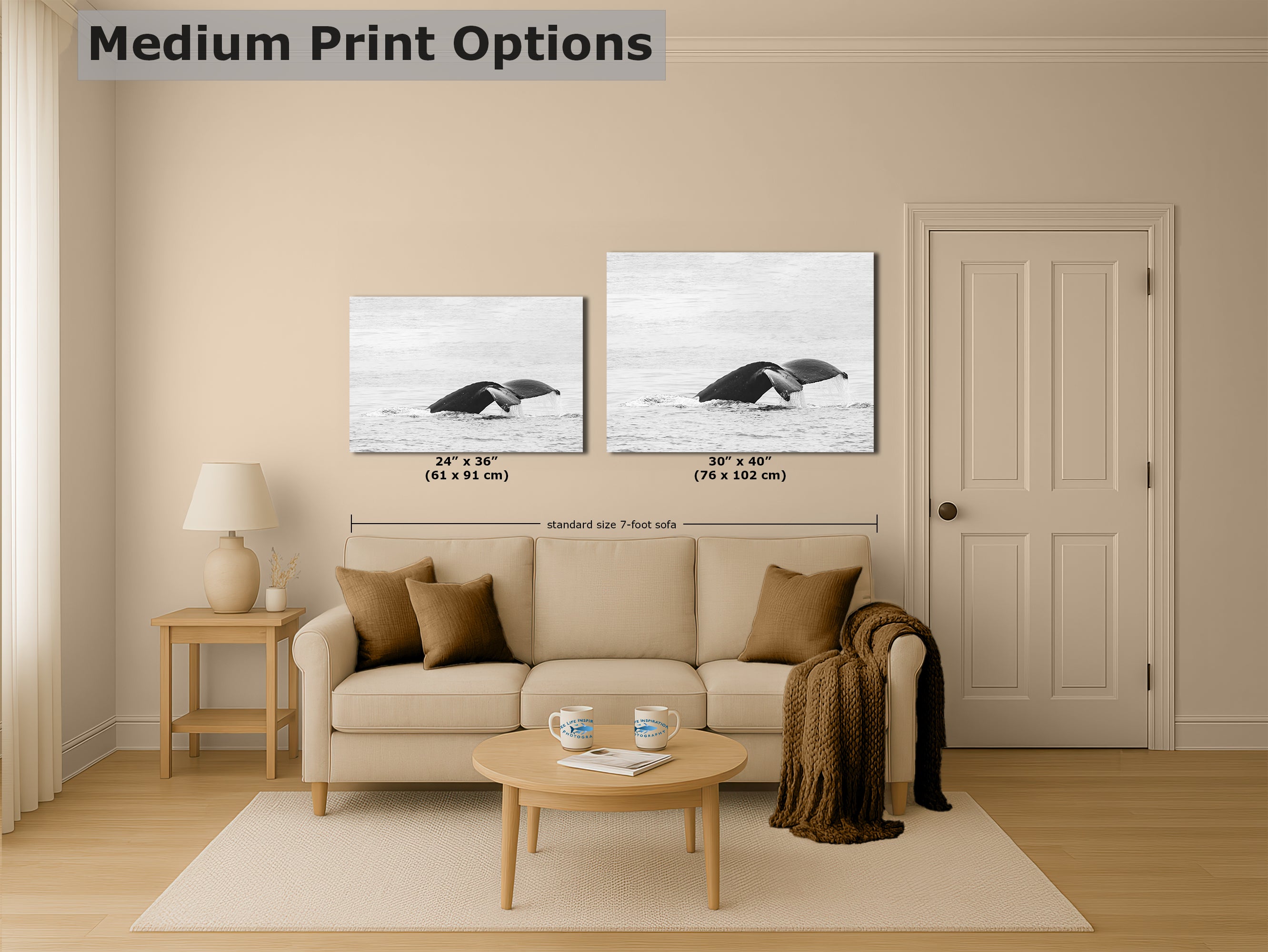 Humpback Whale Marine Mammal Wildlife Photography, Black and White, Monterey Bay Ocean Scene Art Print for Nature Lovers and Marine Conservation Decor