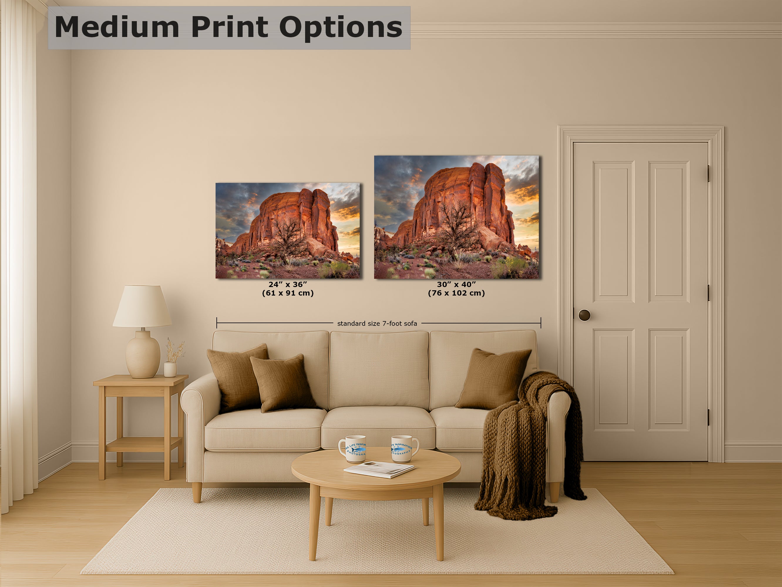 Monument Valley Arizona Desert Picture Cactus Nature Photo, Bohemian Style Relaxation Artwork for Meditation, Apartment, Office & House Decor