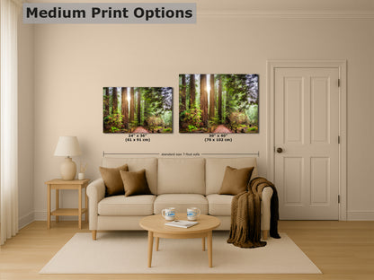 Redwood Trees Forest Picture Nature Photo, Forest Bathing in Muir Woods Wall Art for House Decor Gifts for Tree & Nature Lovers