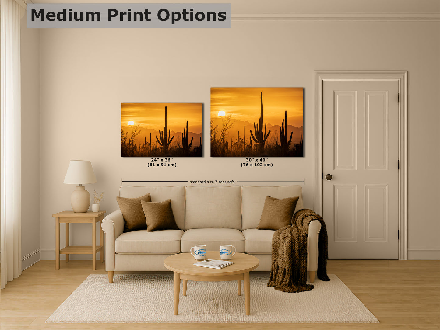 Saguaro National Park Arizona Desert Picture Nature Photo Silhouette, Bohemian Style Relaxation Artwork, Southwestern Sonoran Desert House Decor